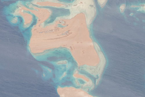 Egyptian Islands in the Gulf of Suez, photographed from the ISS.Photo credit: NASA