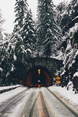 banshy:  Yosemite National Park by: David Nguyen