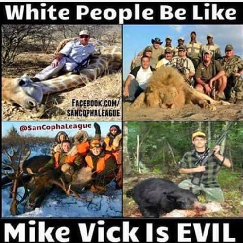 mike vick