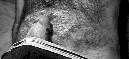 a-rather-horny-nerd:  Me - Orgasms. 