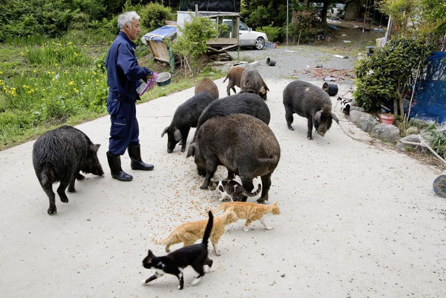 The Radioactive Man Who Returned To Fukushima To Feed The Animals That Everyone Else