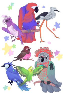 Sutasavvy:  Steven Birdiverse! Ft. The Crystal Birds And The Great Bird Authority.