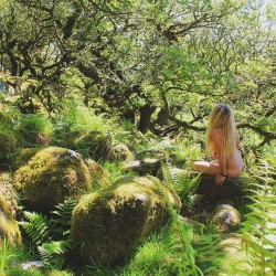 sunfl0wer-spirit:  Princess Cottongrass, Antheia - Goddess of Nature 🌿🌳