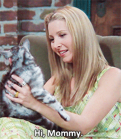 losemydignity:  I just have this really strong feeling that this cat is my mother