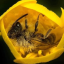theres-a-bee-here