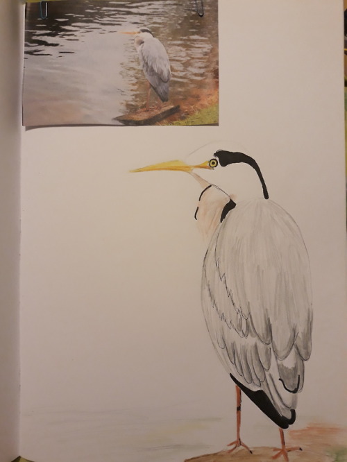 Quick Sketches