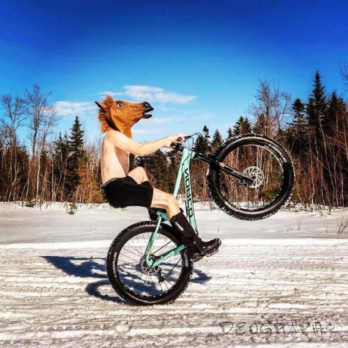 fatbikedotcom:Wheelie Wednesday #Repost @deography ・・・ Nice Day #fatbike #winter #snow #explorenb #n