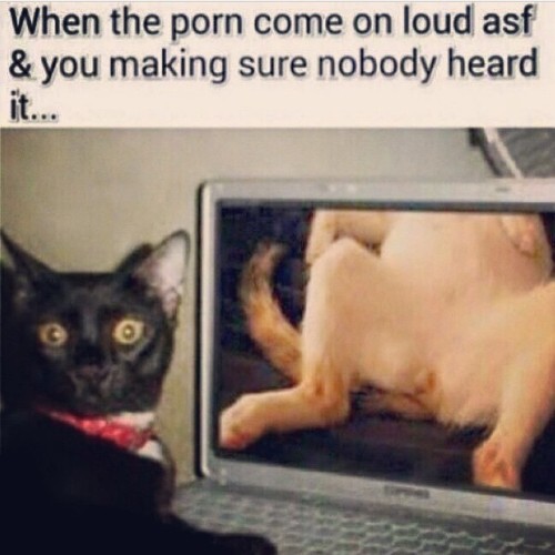 lethaladonis1:  All the time lmao (that’s porn pictures