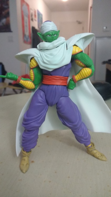 janembascandyhell:SH Figurearts makes quality products