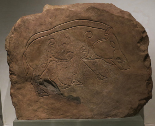 Pictish Animal Rock Art,The National Museum of Scotland, 24.2.17.