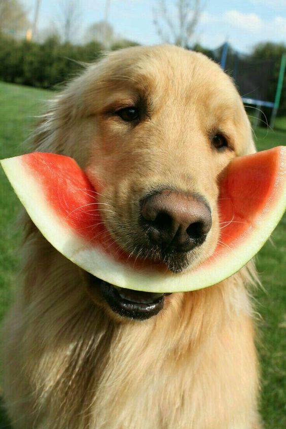 aww-so-pretty:  Delicious! :D