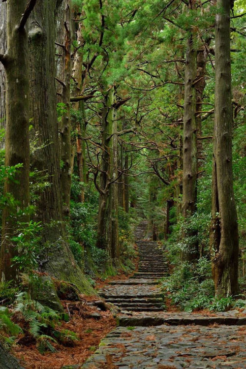 silvaris: Kumano Kodo by Akihiro Hara 