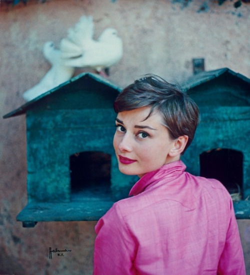 Audrey Hepburn in La Vigna, Italy, by Philippe Halsman for a Life magazine cover, 1954