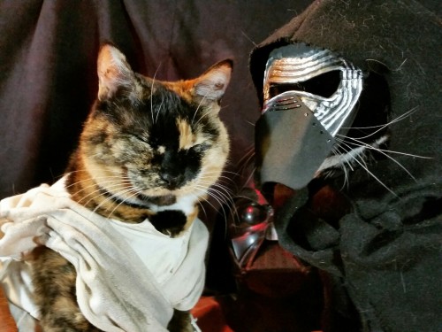 cat-cosplay:  Rey: “Where are the others?”  Kylo Ren: “You mean the murderers, traitors and thieves you call friends? You’ll be relieved to hear I have no idea.” 
