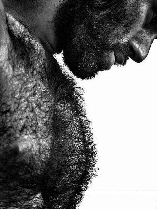barebearx: edsonciriacodasilva:
