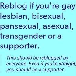 leonagirlygirl:  lucidmatrix:   funwithkinklor:  cdsissyangela:   bi-buddy:   heather6944:   bi-man-love:    I’m bi   I’m bi   Im a bi cd nj.    Bi  💖💖💖   I’m a human being and as such I support other human beings whatever affection or