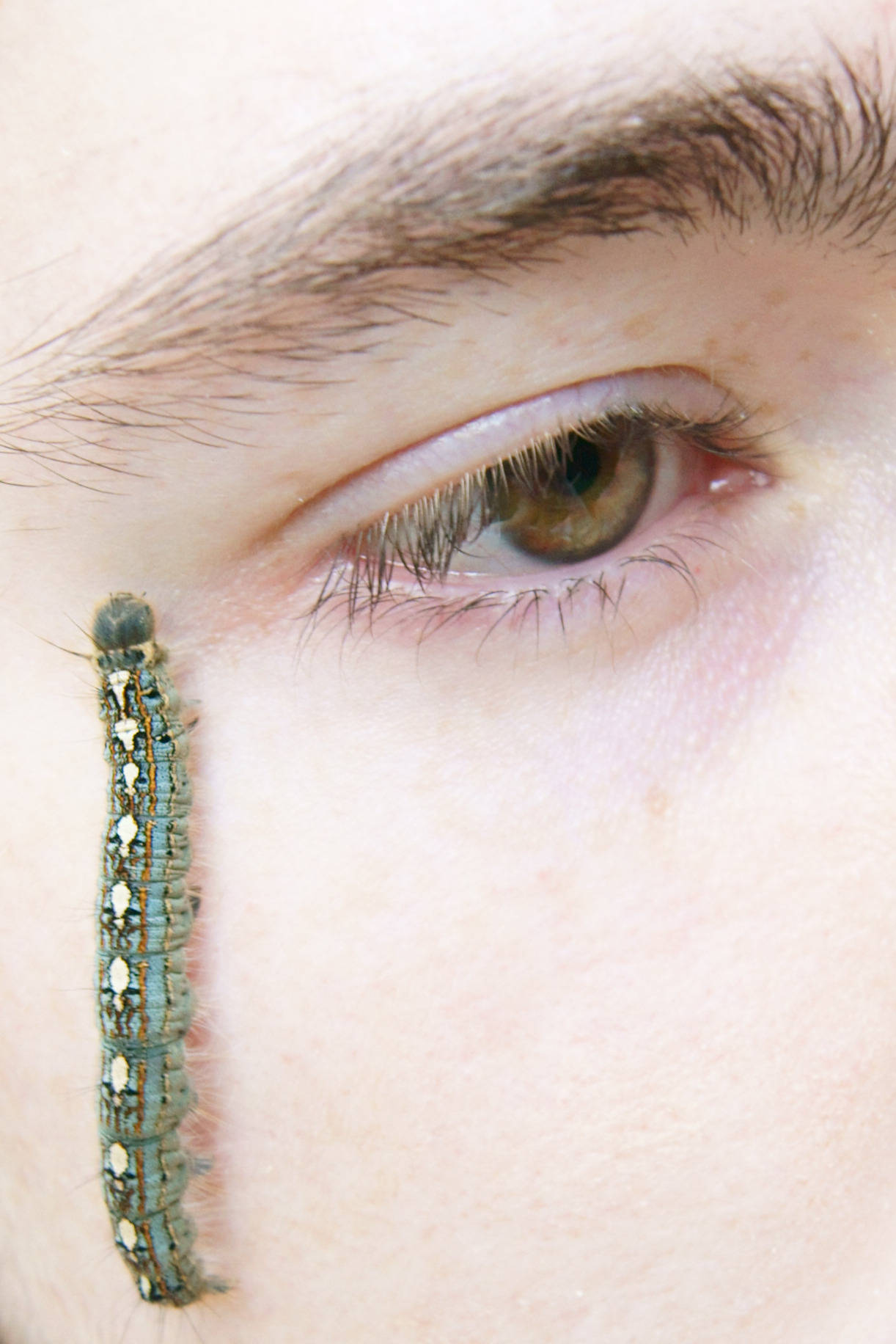 g0lf-pants:  milksensei:  My eye ft. caterpillar.   Cool