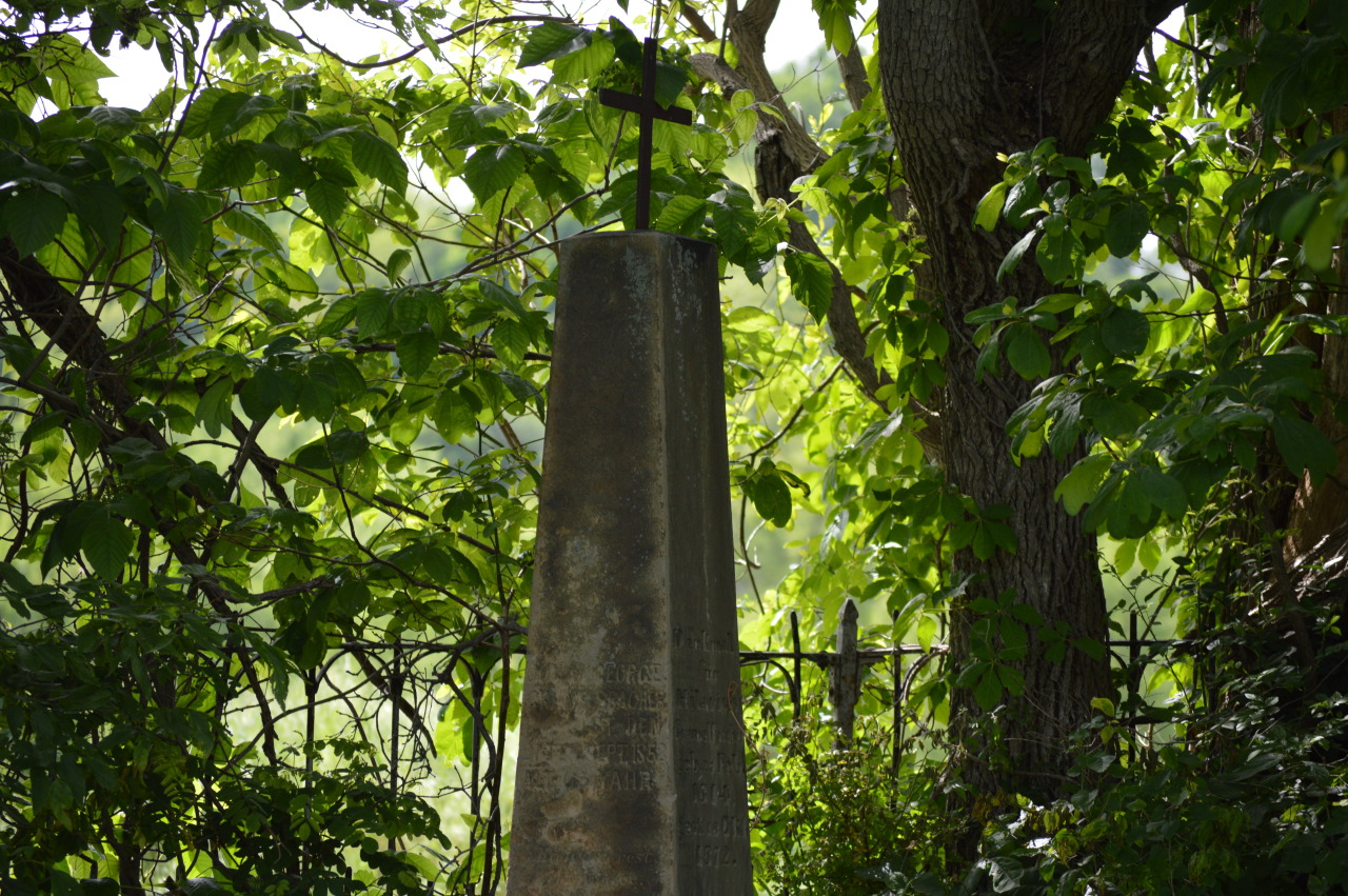 daydreaminggenius:  My dad’s house is situated by St. Pius Cemetery, an old Catholic