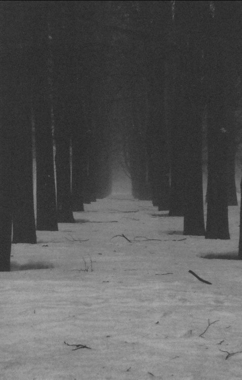 ✞.闇の王子.✞