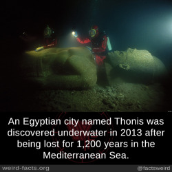 mindblowingfactz:    An Egyptian city named Thonis was discovered underwater in 2013 after being lost for 1,200 years in the Mediterranean Sea. sourceimage via dailymail
