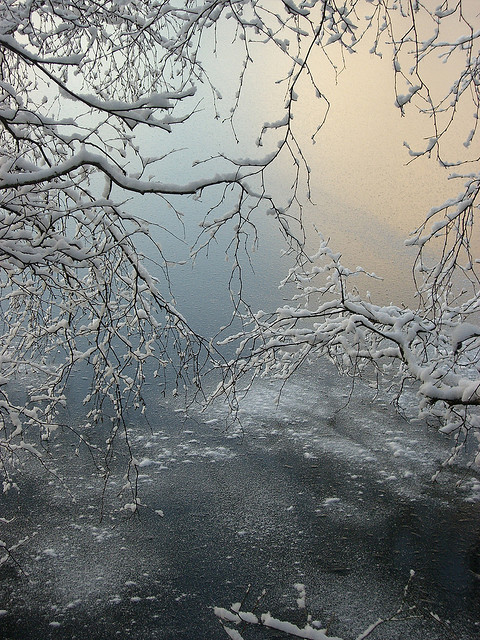 Winter mood by ~Ranveig Marie~ on Flickr.