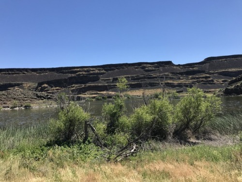 tassledown:Photos from my trip to Grand Coulee in Eastern WA. The layers and the valley itself are g