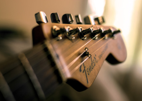 tpetersonmedia: Stratocaster.