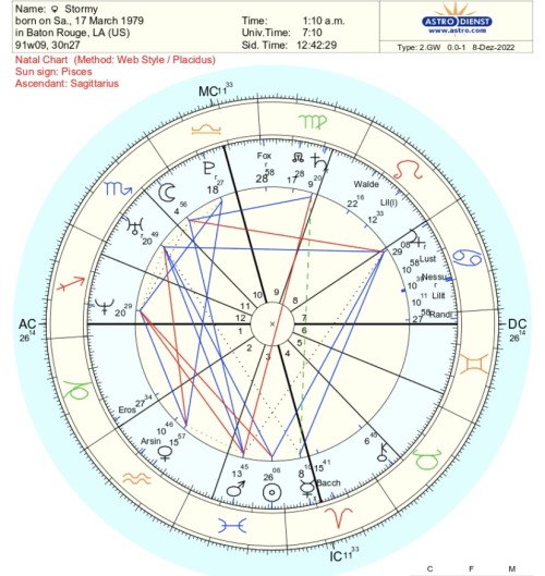 WHATS IN THE CHART OF AN ADULT MOVIE STAR?