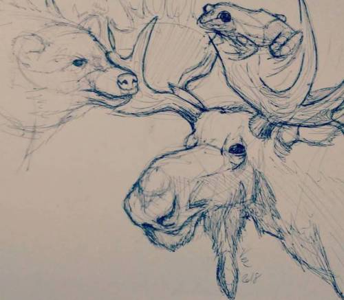 Went sketching at the #halifax #naturalhistorymuseum today ❤