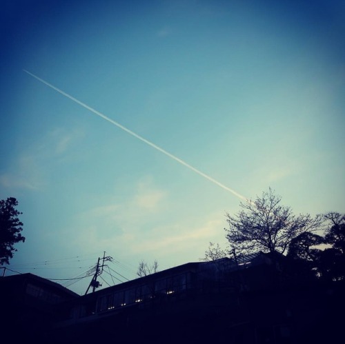 107 今日の#飛行機雲 #空 #長瀞