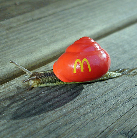 daily-meme:McDonald’s Snaildaily-meme.tumblr.com/SncDonalds (snail McDonalds)? Or McSnail (Mc