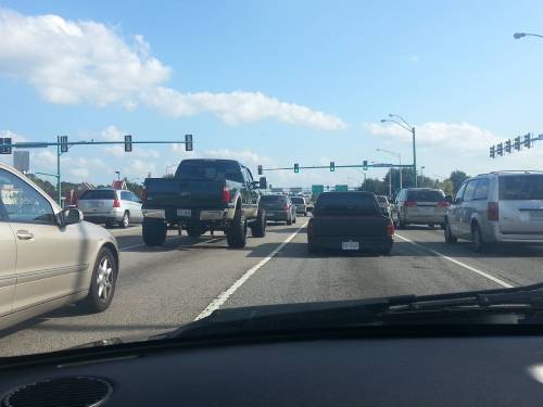 ramsayamanda:  mirapup:  thehootcahoot:  The young pickup, timid of its surroundings, stays near its mother while learning to travel with the herd.  Is that truck even on wheels wtf   alot of locals In Hawaii. basically what it looks like. 