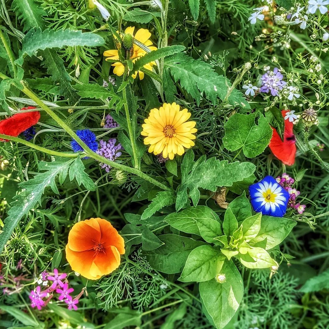 Do you seek changes in your life, or does change happen to you? The past few weeks have been rugged Do you seek changes in your life, or does change happen to you? The past few weeks have been rugged