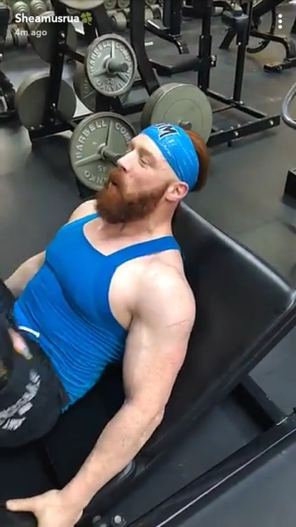 deidrelovessheamus:  Sheamus and Drew McIntyre SnapChat pics from the gym. Part 3 (1-9-2018)