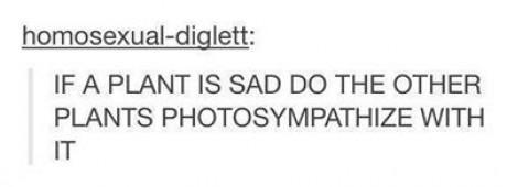 itsstuckyinmyhead:  Times Tumblr Made You Question Life