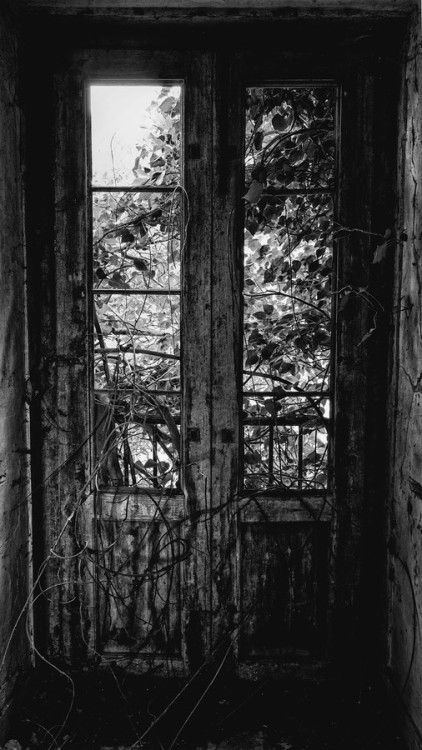 mentalidad-diferente.tumblr.com/post/90674823071/
