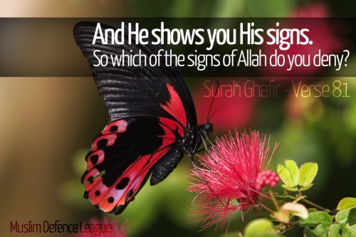 And He Shows You His Signs (Quran 40:81)Originally found on: invitetoislam