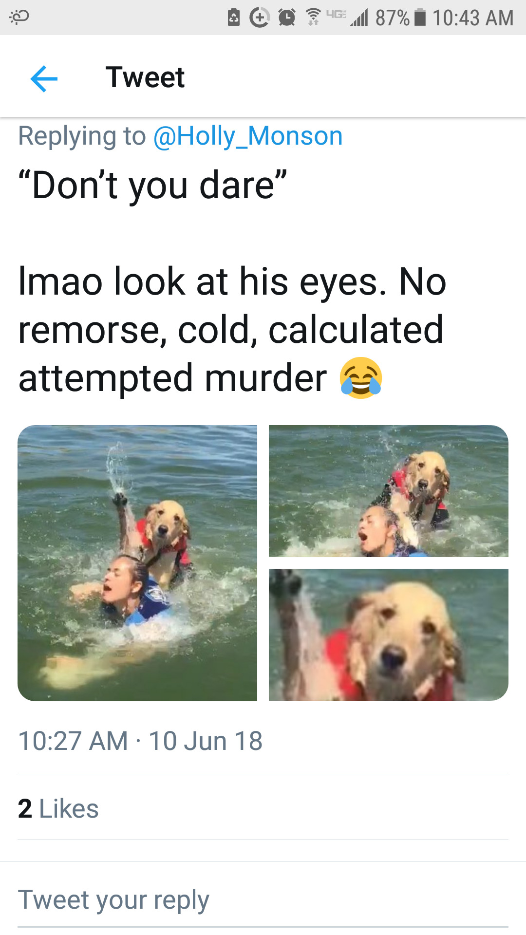 He's still a good doggo