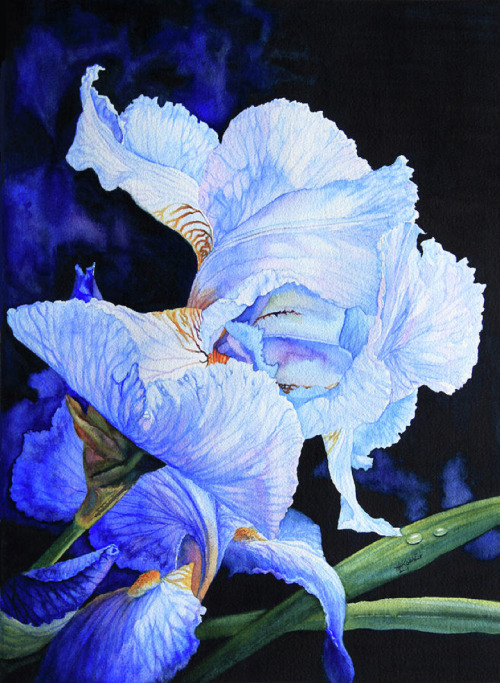 ufansius:  Blue Summer Iris - Hanne Lore KoehlerMore Hanne Lore Koehler here, here, and here.
