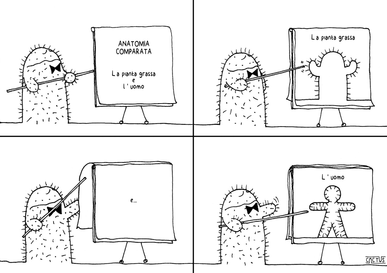 LEZIONI DEL CACTUS