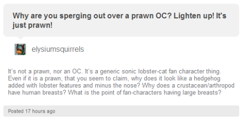 because most official sonic characters follow that generic mascot design, so why wouldnt fan characters? and what is the point of an official character (rouge) having large breasts? these are truly questions that will be asked for centuries