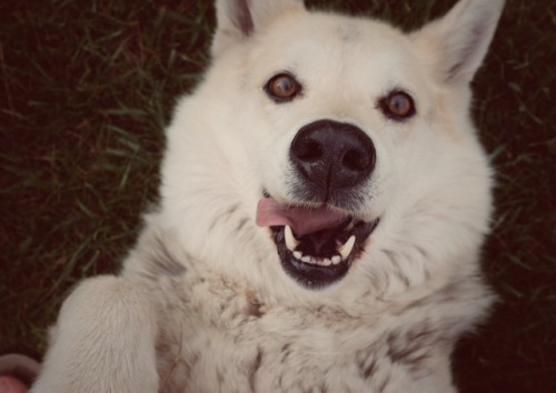 Maxi says “Yay for the weekend!” Cheers to you and your weekend!