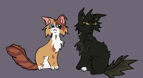 Hollyleaf And Fallen Leaves Kinda?
