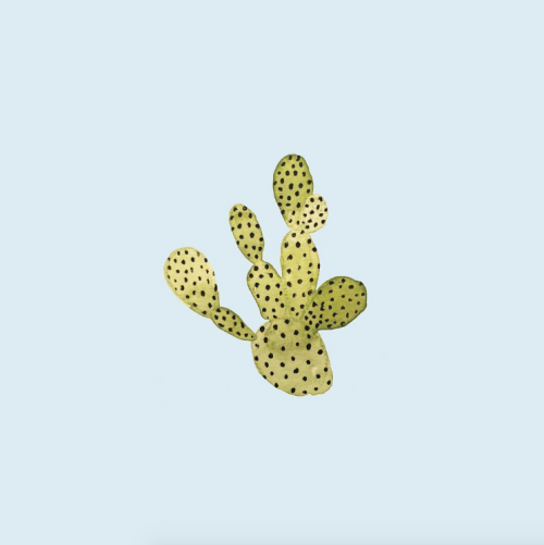 Sex birdasaurus:  Sara Comb’s 100 Days of Cacti pictures