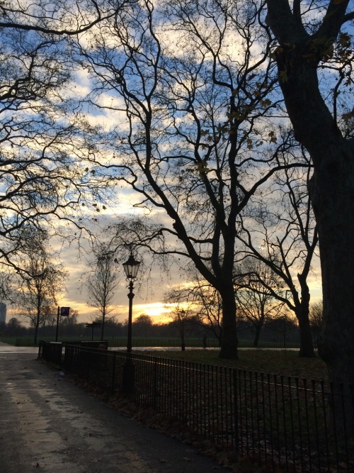 justsouthoftheriver:Sunset in Hyde Park