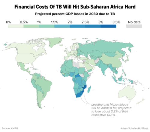 How Putin&rsquo;s interest signals a turning point in the tuberculosis fight www.huffing