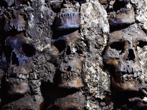 Aztecs Constructed Tower Made Out of Hundreds of Human Skulls DiscoveredResearchers in Mexico City r