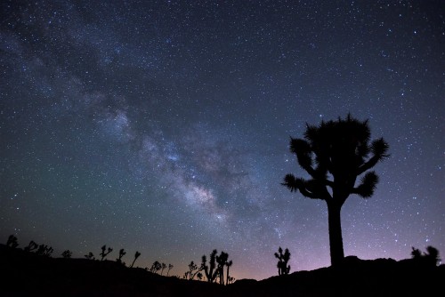 Look to the ⭐️s tonight! The annual Geminids meteor shower will be at its peak. The sky won’t 