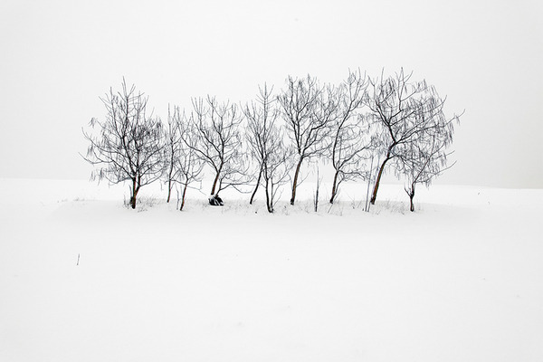 definitelydope:  By Akos Major 