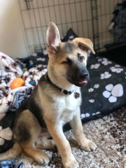 Awwww-Cute:  Mr. Steal Your Girl! (Source: Https://Ift.tt/2O2Ya8O)